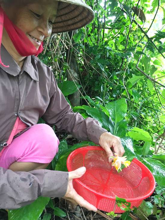 loc rung dau dong cua nguoi dan dong van quang ngai