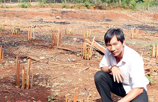 nha nong danh cuoc voi cay sa chi