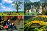 viet nam day mau sac qua trien lam anh huong sac tram mien