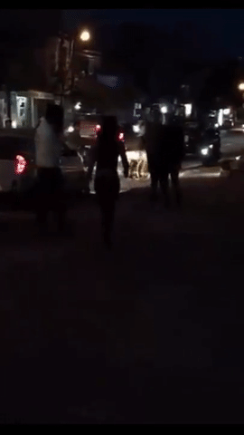chang trai nho nhat nam bi ban gai danh khong thuong tiec giua pho