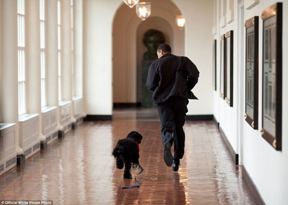nhung buc anh cua minh ma tong thong obama yeu thich nhat
