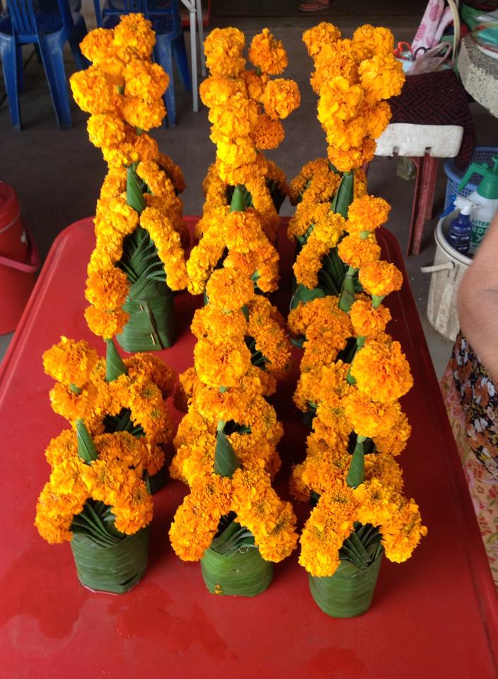 le hoi that luong o xu so trieu voi