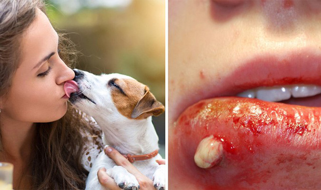 nhung he luy dang so sau nhung nu hon cua thu cung