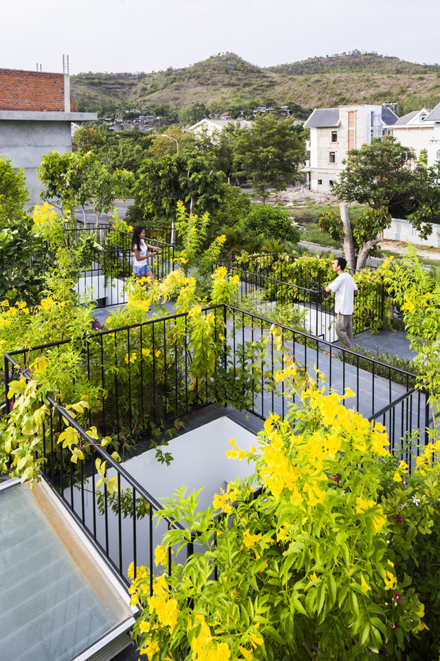 hoans hanging garden khu vuon doc dao toa lac tren mai nha do kien truc su viet nhat hop tac thiet ke