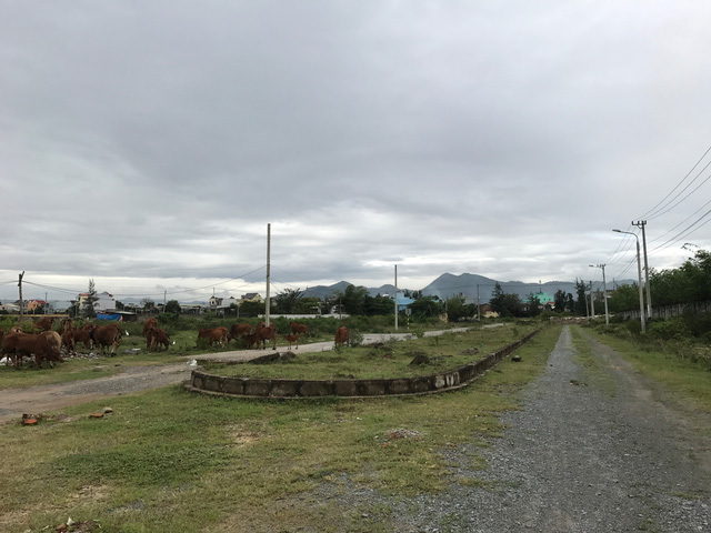 can canh du an khu ky tuc xa 600 ty bo hoang giua long thanh pho da nang