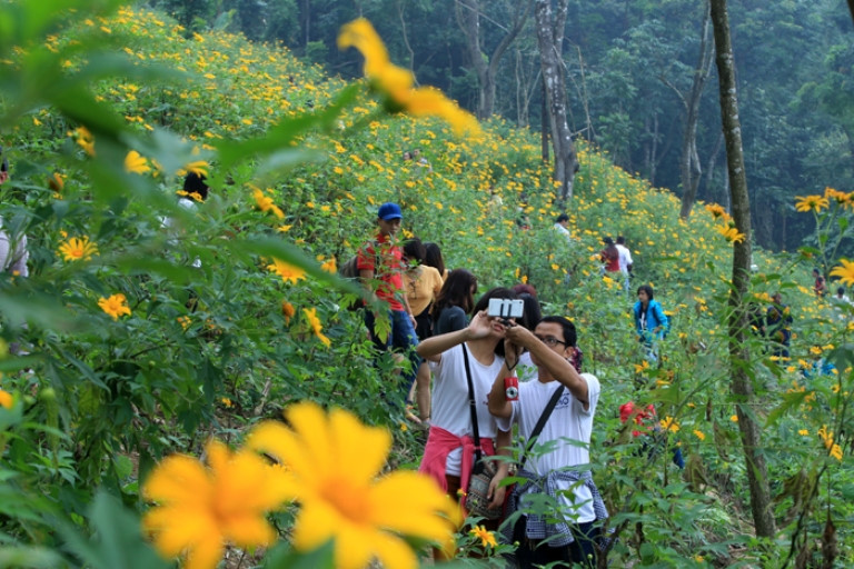 choang voi canh tuong hang nghin phuot thu chen nhau len ba vi san hoa da quy dip cuoi tuan