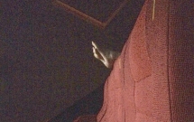 tung tang vao rap xem phim neu gap ngay doi ban chan boc mui nong nac chem che tren ghe sau ban se lam gi