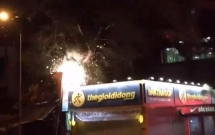 cay co thu bat goc do sap 2 cua hang lon o dak lak