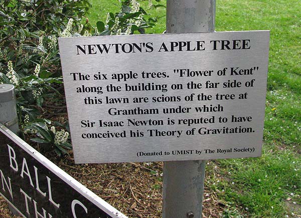 su that dang sau cau chuyen qua tao roi trung dau isaac newton