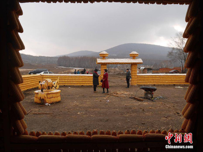 trung quoc nong dan xay nha va nong trai tu 20000 bap ngo de thu hut khach du lich