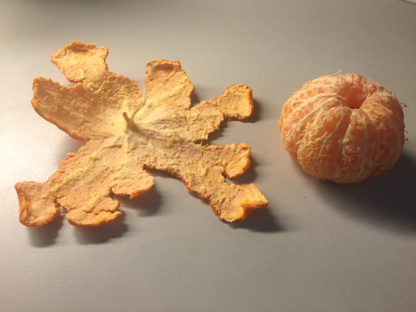 16 viec tuong chung vo van nhung khong phai ai cung lam duoc