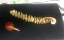 16 viec tuong chung vo van nhung khong phai ai cung lam duoc