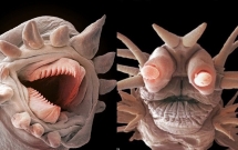 nhin tuong quai vat phim kinh di nhung khi biet chung ton tai ngoai doi that ai cung so hai