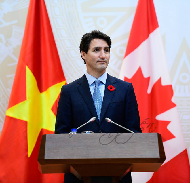 ban se ngac nhien khi biet bong hoa do cai ao thu tuong justin trudeau va cau chuyen lich su dang sau
