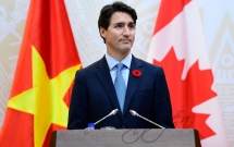 ban se ngac nhien khi biet bong hoa do cai ao thu tuong justin trudeau va cau chuyen lich su dang sau