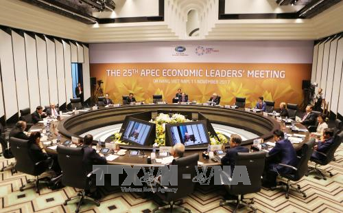 apec 2017 nang tam hop tac apec nang tam vi the viet nam