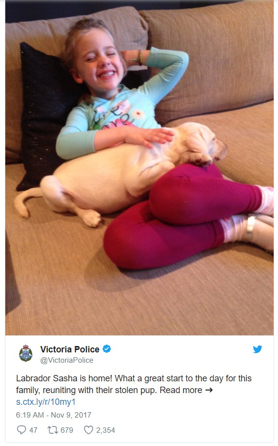 mui long thuong be gai 4 tuoi ten trom khoang ca nha nhung sau do tra lai thu gia tri nhat cua gia dinh