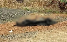 sat hai vo bang bua roi cho xac ra nghia trang dot phi tang