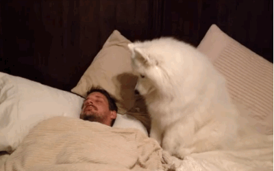 16 chu cho vao vai dong ho bao thuc chuan khong can chinh