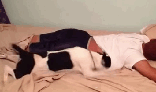 16 chu cho vao vai dong ho bao thuc chuan khong can chinh