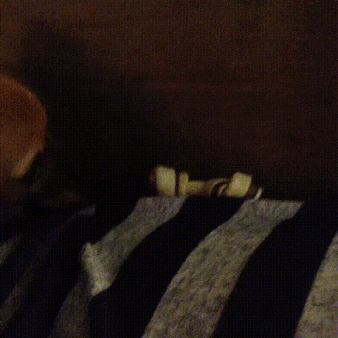 16 chu cho vao vai dong ho bao thuc chuan khong can chinh