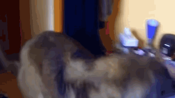 16 chu cho vao vai dong ho bao thuc chuan khong can chinh