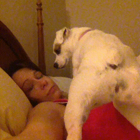 16 chu cho vao vai dong ho bao thuc chuan khong can chinh