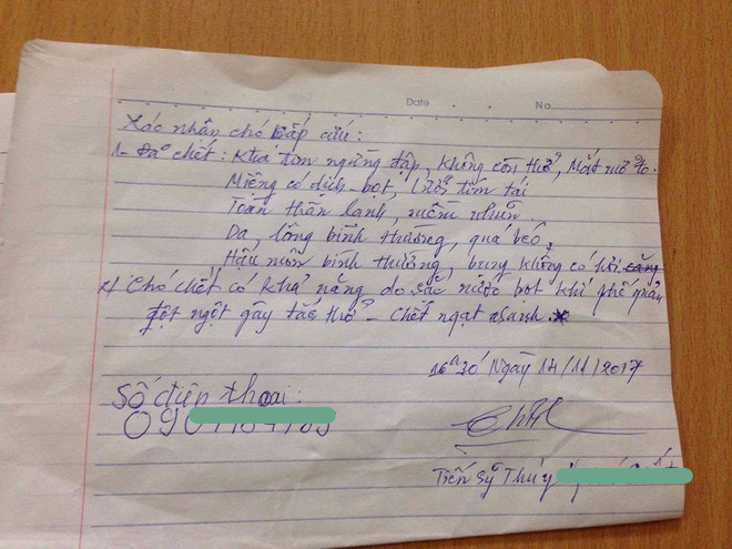 chu cho pug dot tu bac si ket luan chet do sac nuoc bot khien cong dong mang bat ngo