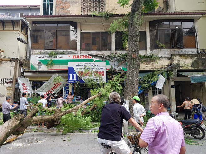 ha noi nu tai xe vua buoc ra khoi xe chua day 10 giay chiec mercedes da bi cay lon de bep dau