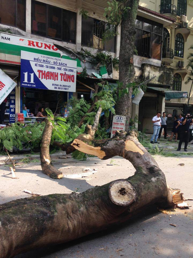 ha noi nu tai xe vua buoc ra khoi xe chua day 10 giay chiec mercedes da bi cay lon de bep dau
