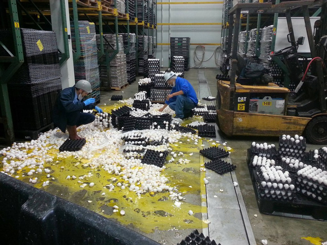 15 khoanh khac tai nan chung to cuoc doi dang choi xau chung ta