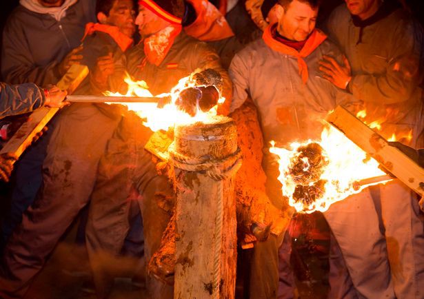 so phan dau thuong nhung chu bo trong le hoi tay ban nha sung bi thieu rui quan quai trong lua