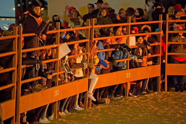 so phan dau thuong nhung chu bo trong le hoi tay ban nha sung bi thieu rui quan quai trong lua