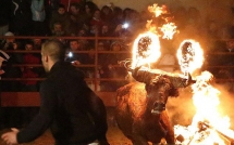 so phan dau thuong nhung chu bo trong le hoi tay ban nha sung bi thieu rui quan quai trong lua