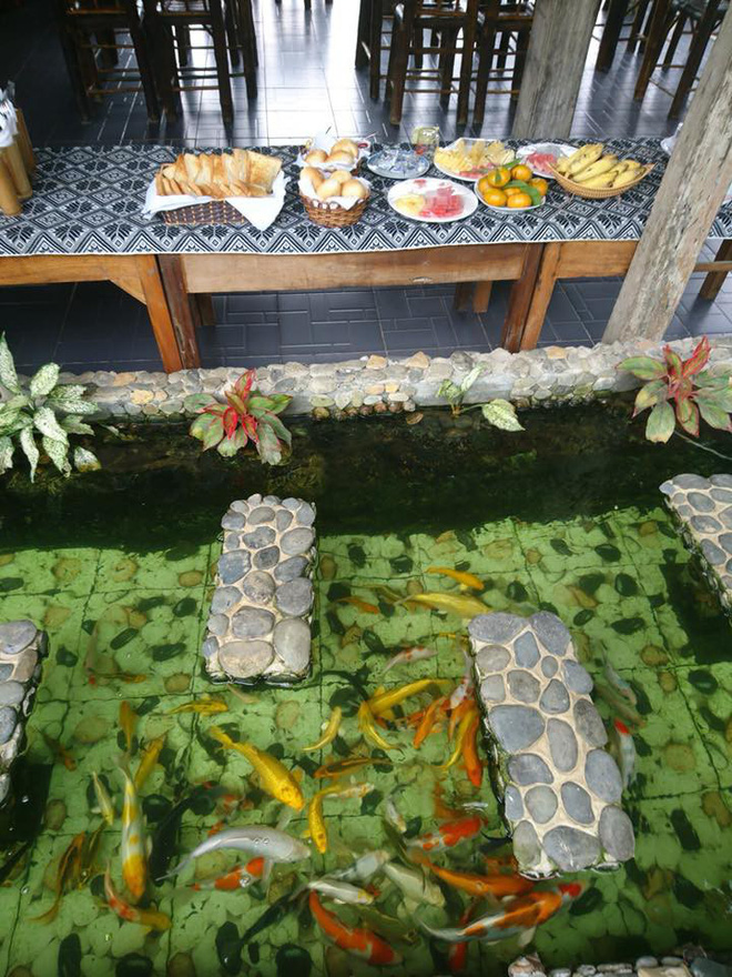 ong bo da nang khien dan mang tranh cai vi tan dung dan ca koi may tram trieu dem di kho tuong