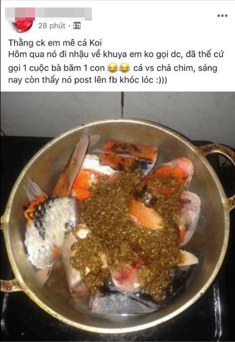 ong bo da nang khien dan mang tranh cai vi tan dung dan ca koi may tram trieu dem di kho tuong
