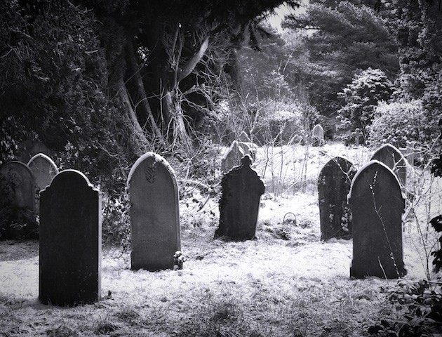 8 cong viec dang so nhat the gioi nghe thu 2 cho tien cung chang may ai dam lam