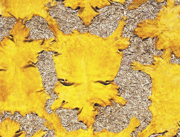 8 cong viec dang so nhat the gioi nghe thu 2 cho tien cung chang may ai dam lam