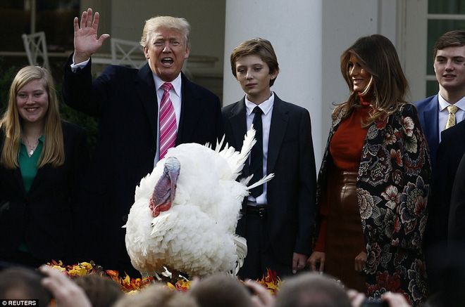 cau ut barron trump gio da cao hon ca me xuat hien banh bao tai nha trang nhung van de lo ve met moi