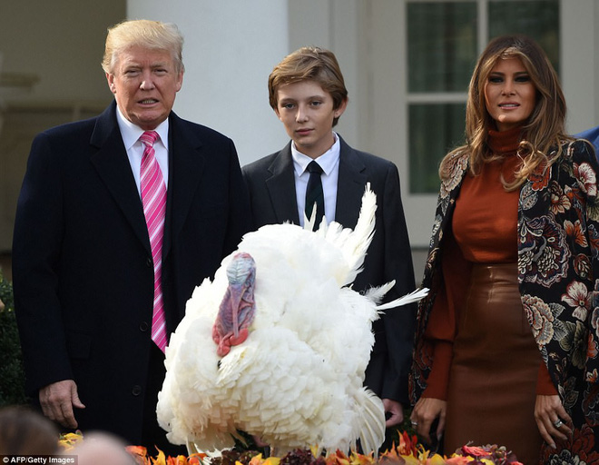 cau ut barron trump gio da cao hon ca me xuat hien banh bao tai nha trang nhung van de lo ve met moi