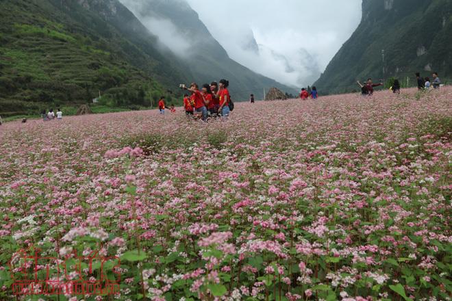 canh dep say long nguoi cua ha giang