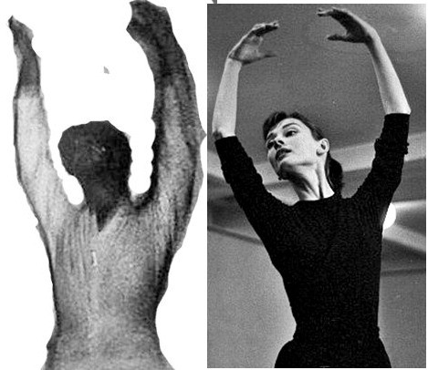 su that dang sau buc anh kinh di bong nguoi trong bua an am anh cu dan mang