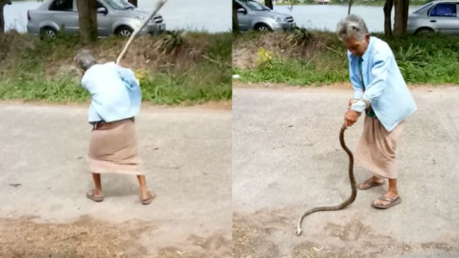 cu ba ba dao tay khong quat con ran toi tap o thai lan dung co ma bat chuoc toi