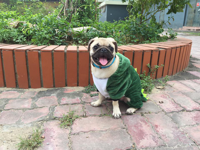 chi co cai lanh tai te ngay 14 do moi sinh ra duoc nhung cach chong ret ba dao the nay