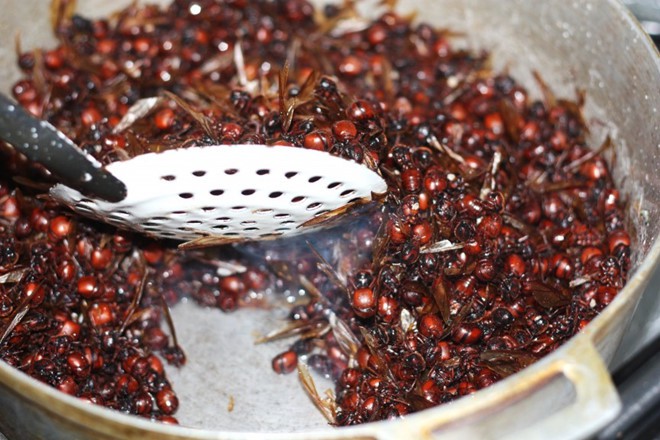 5 mon an quen thuoc bong tro thanh kinh di khi lam tu con trung