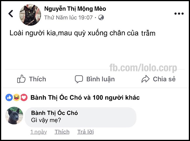 16 dong status cap nhat sieu bua cua be lu dong vat khi choi facebook