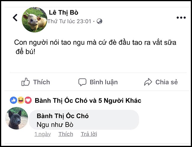 16 dong status cap nhat sieu bua cua be lu dong vat khi choi facebook