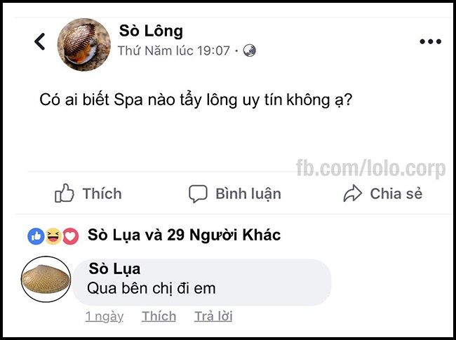 16 dong status cap nhat sieu bua cua be lu dong vat khi choi facebook