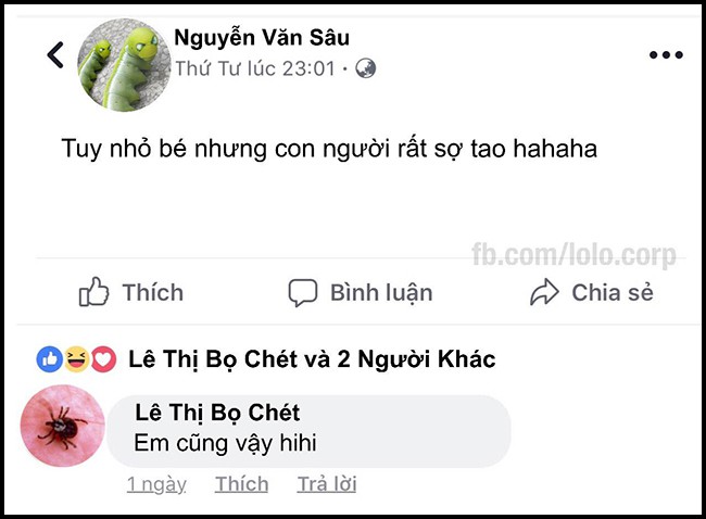 16 dong status cap nhat sieu bua cua be lu dong vat khi choi facebook