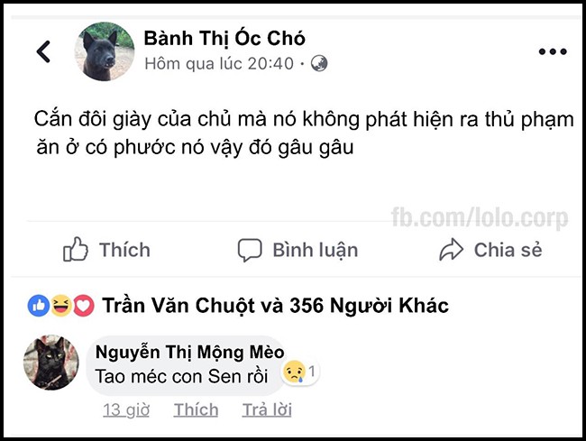 16 dong status cap nhat sieu bua cua be lu dong vat khi choi facebook